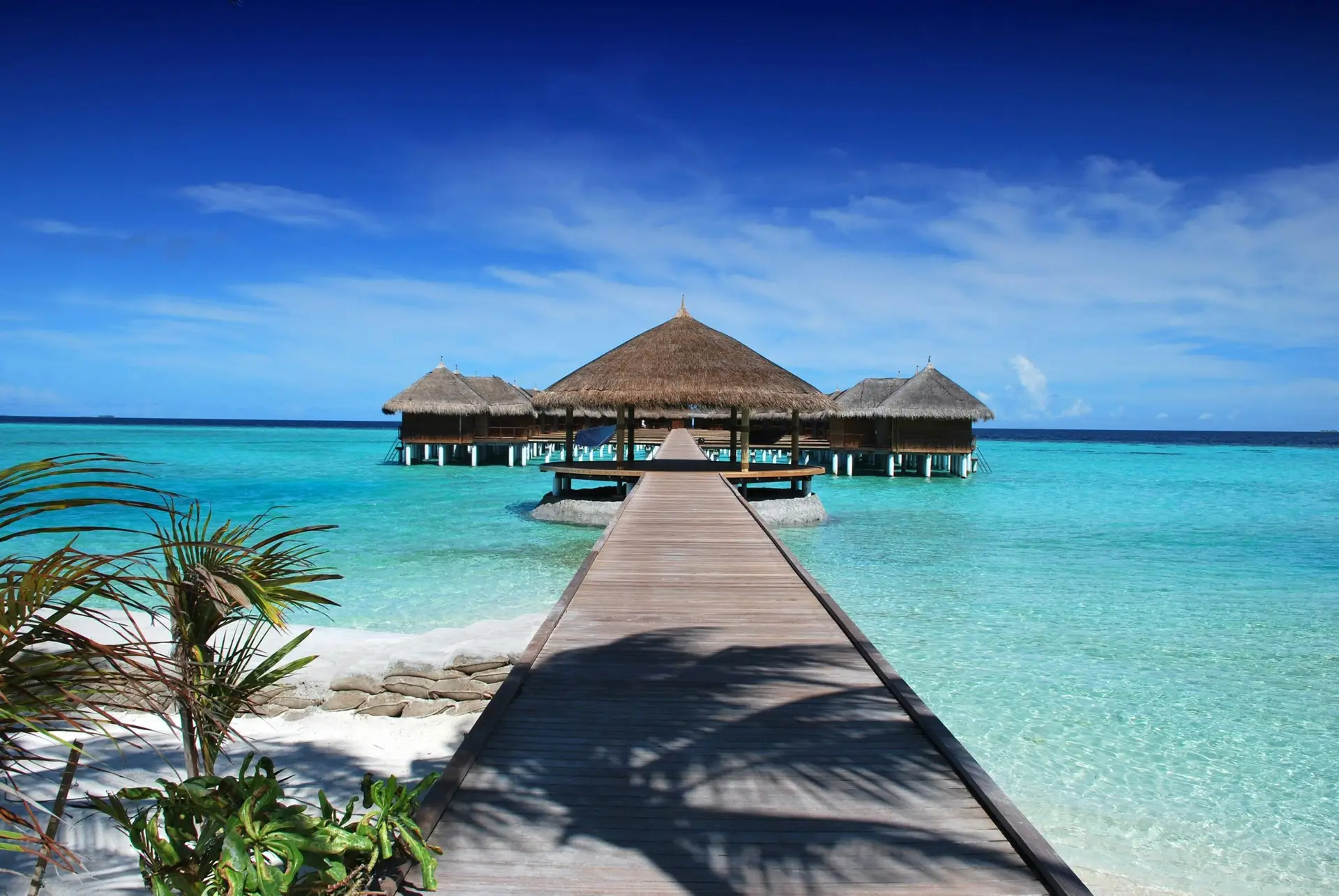 premium travel domain names