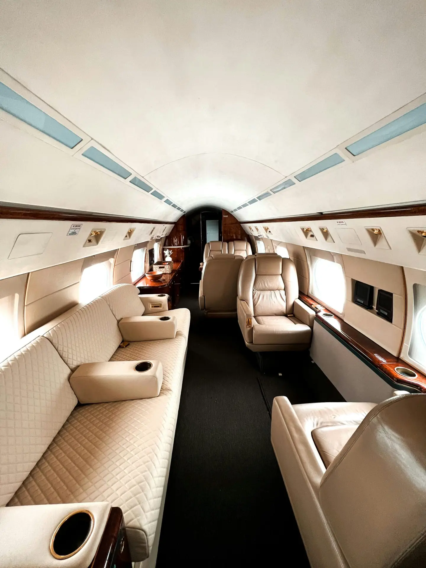 electric flight travel domain
