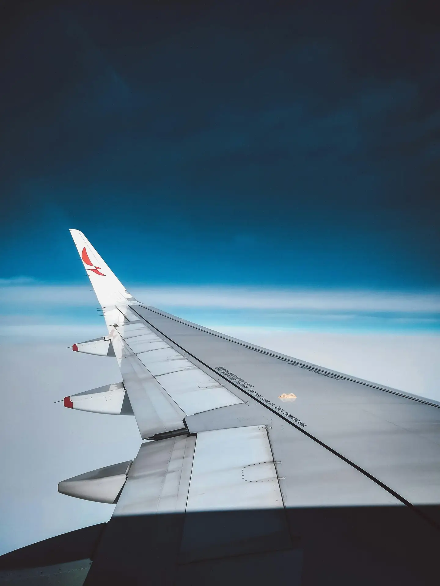 global airline flights domain