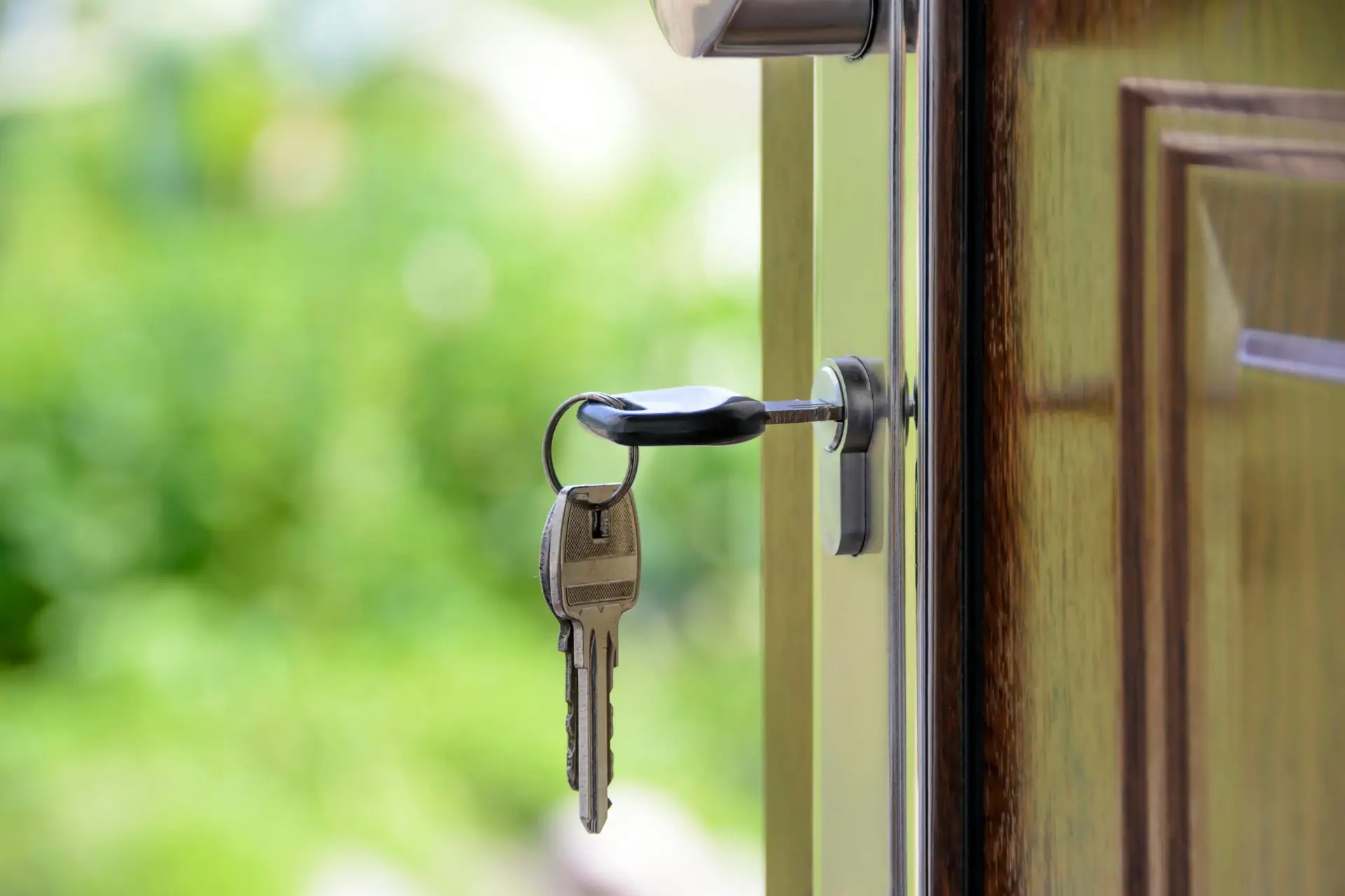 rental and letting domain