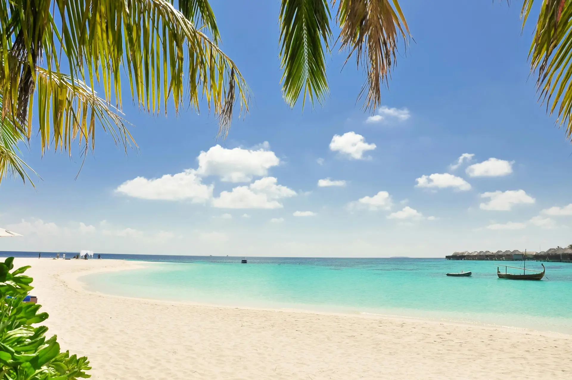 vacation travel agency domain