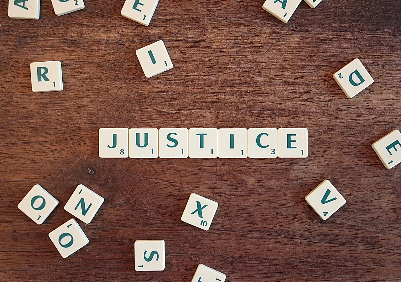 criminal law resources domain