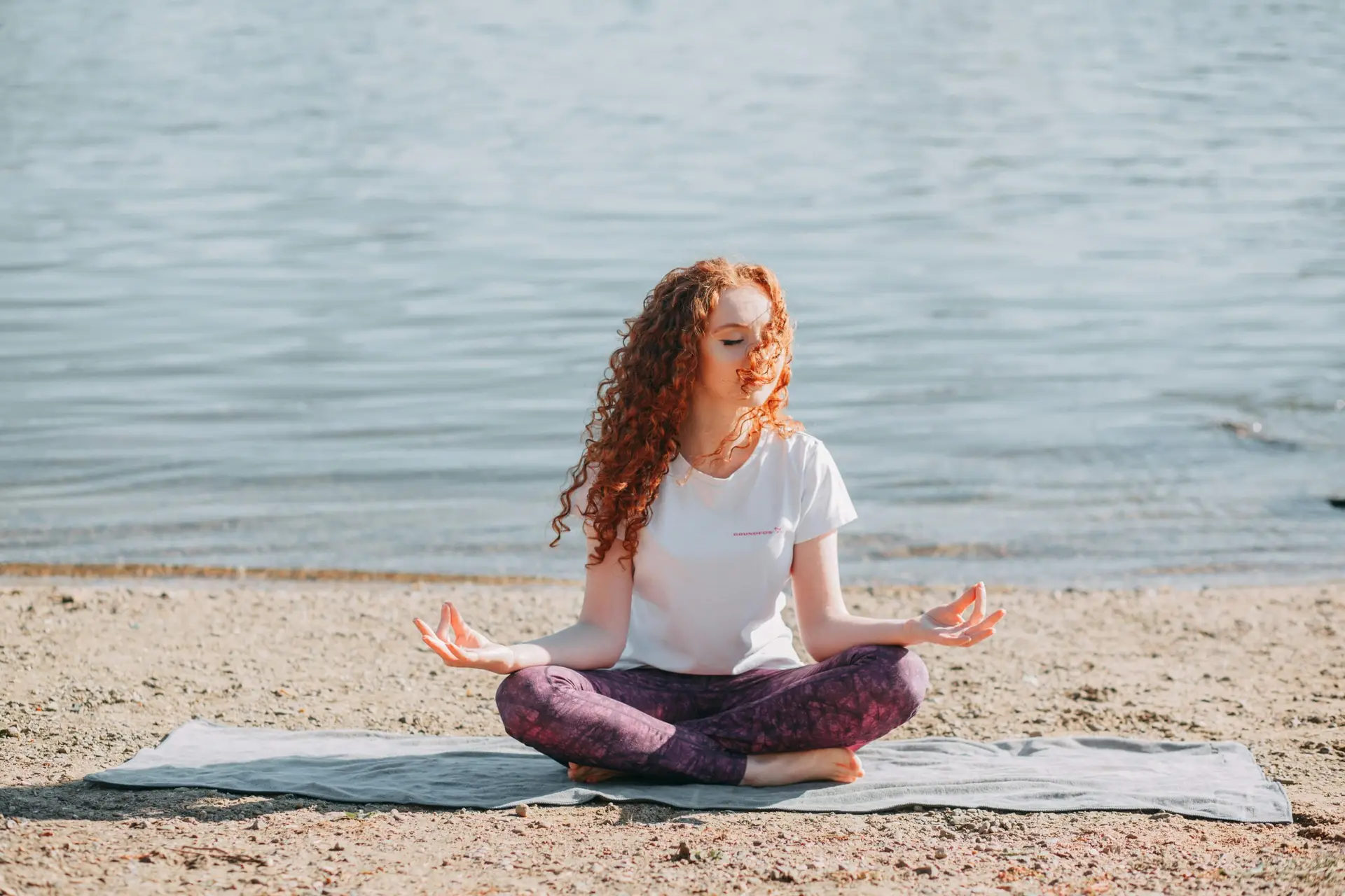 wellness fitness planning domain